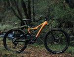 Orbea Rise H15 -DEMO