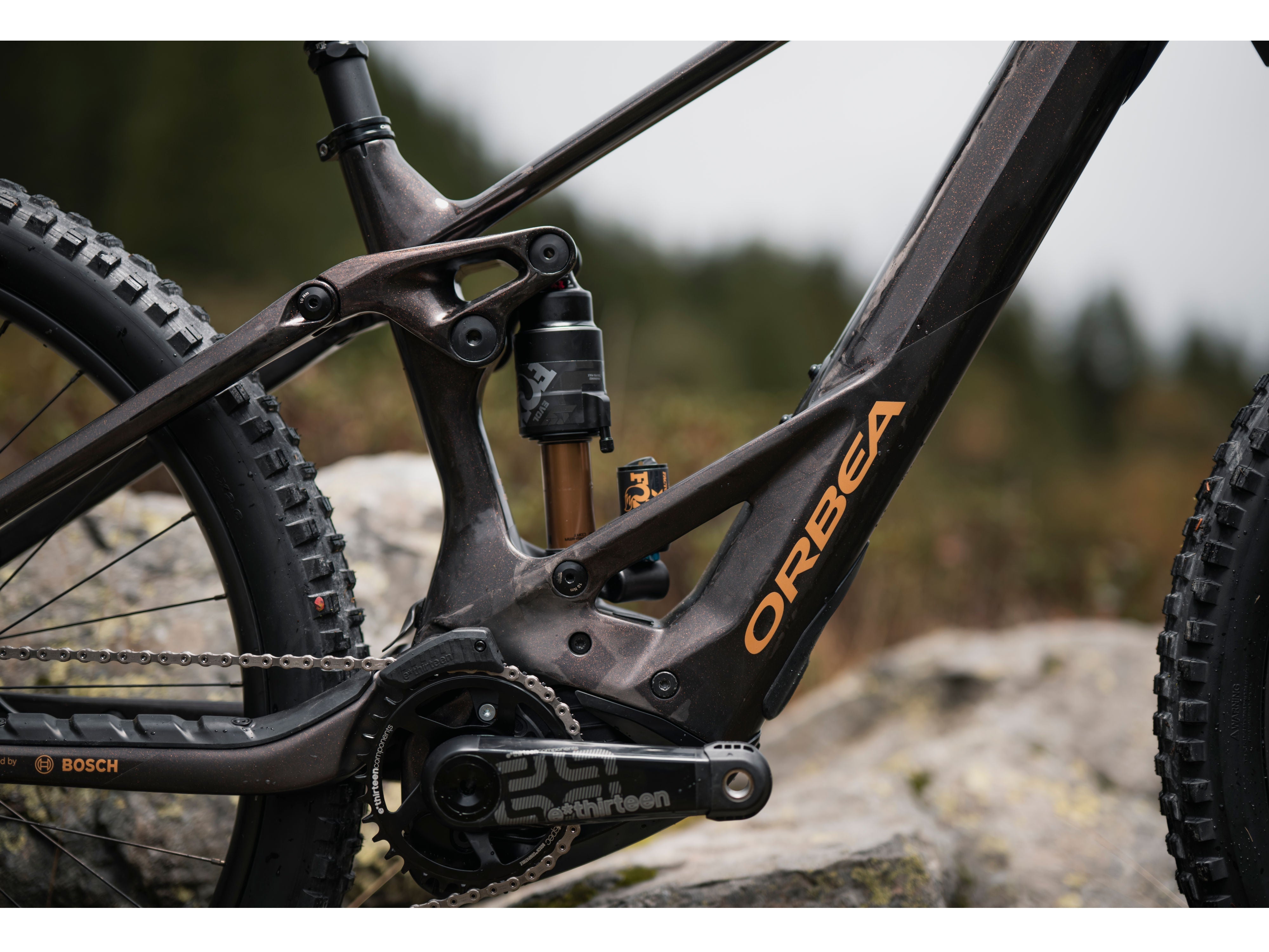 Orbea Wild M20