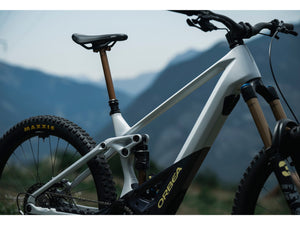 Orbea Wild M20